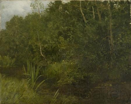 HOFFMANN, Hans Landscape with a pond Spain oil painting art